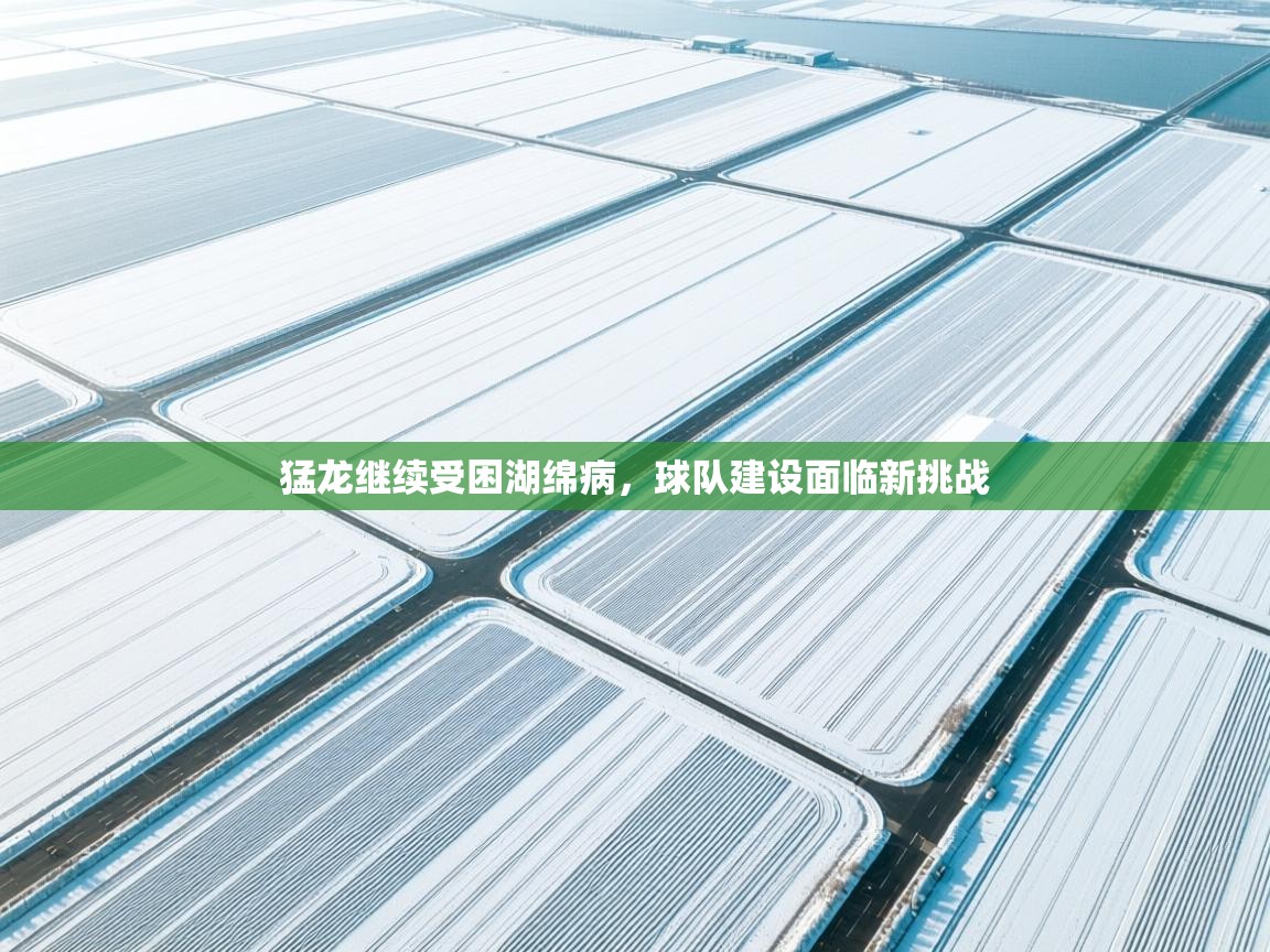 猛龙继续受困湖绵病，球队建设面临新挑战