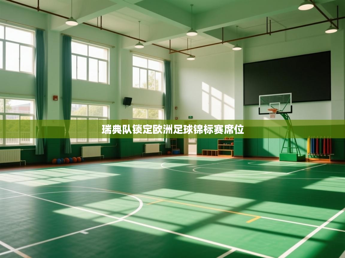 瑞典队锁定欧洲足球锦标赛席位