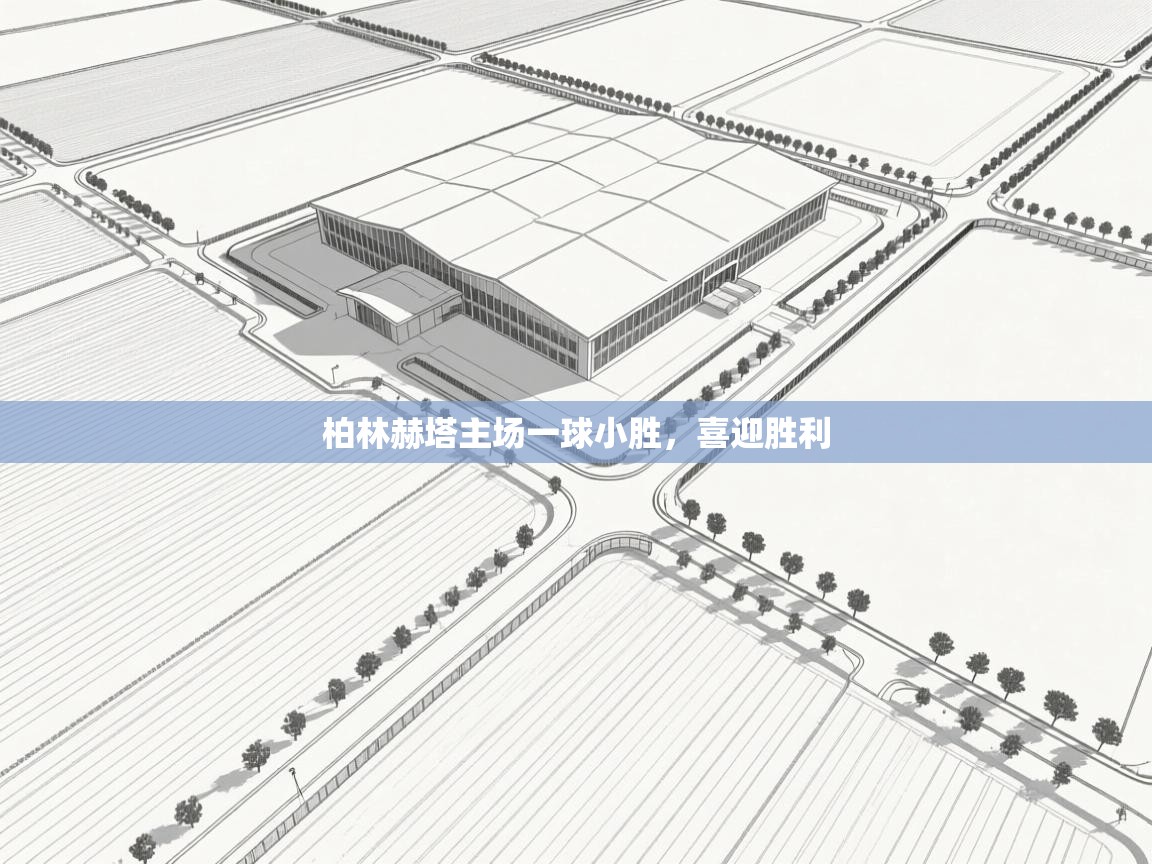 柏林赫塔主场一球小胜，喜迎胜利